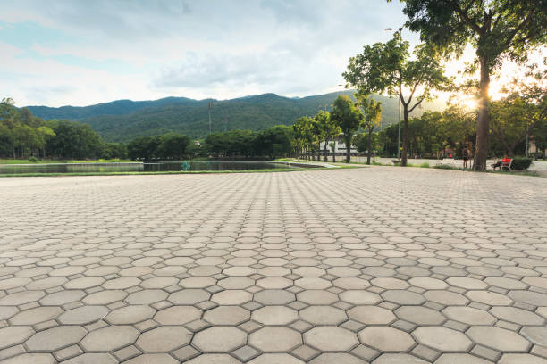 Best Concrete Paver Driveway  in Las Lomas, CA
