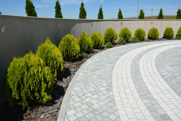 Best Driveway Paving Contractor  in Las Lomas, CA